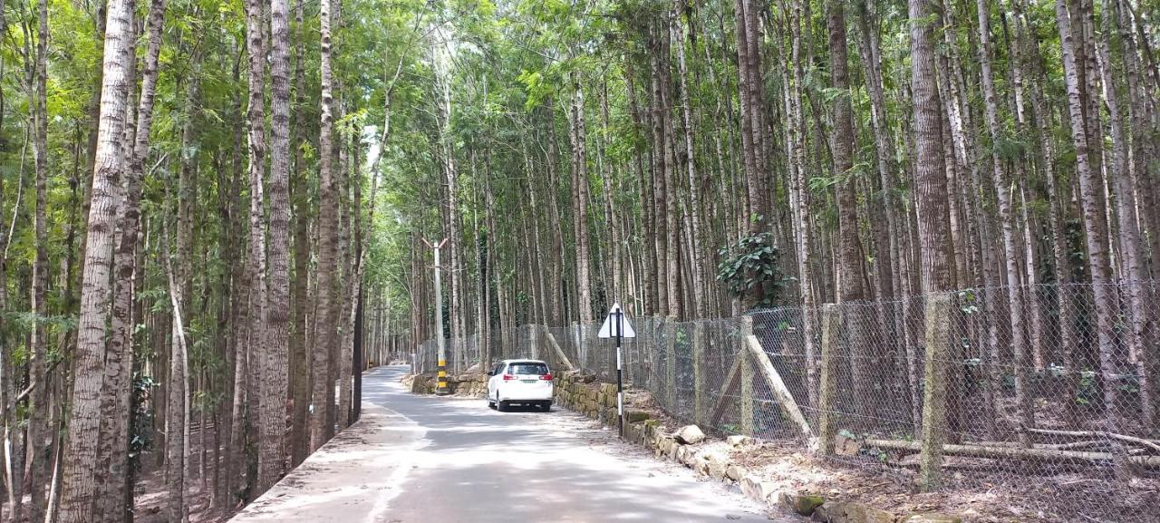 Istays - Loop Road, 埃尔加德 外观 照片